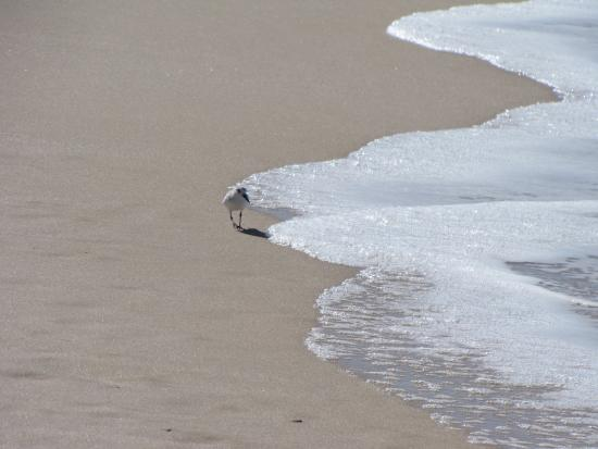 Oum Labouir Beach