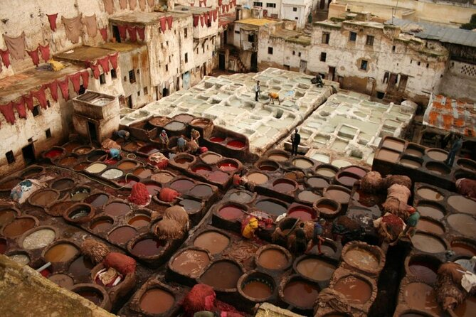 Fez Medina